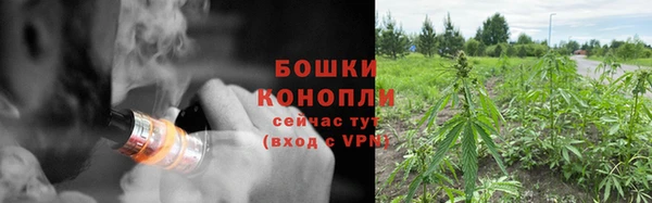 амф Аркадак